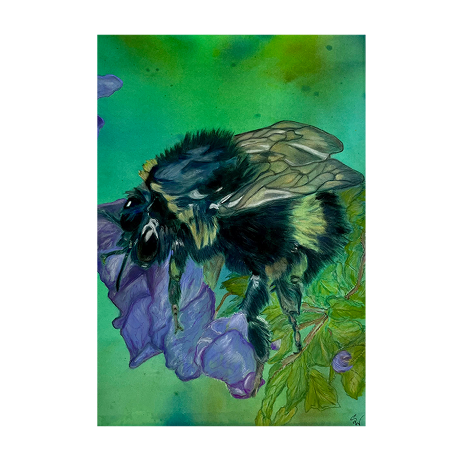 Last Bumble